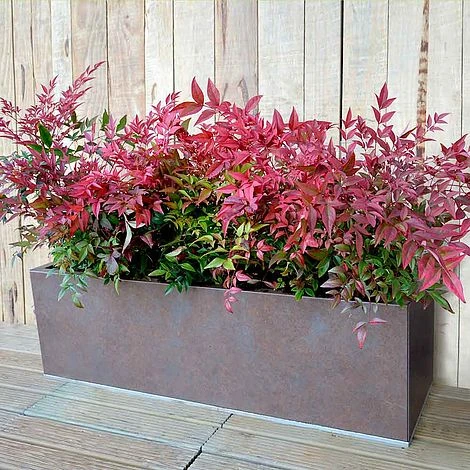 Weathered Iron Planters - Image 2