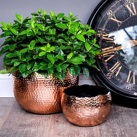 Hammered Bowl Copper/Black 19Cm - Image 3