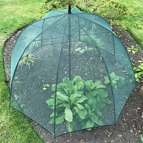 Pop N Crop Plant Protection Umbrella - Image 2