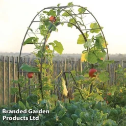 Circular Plant Growing Frame