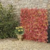Expandable Artificial Red Acer Hedge Trellis