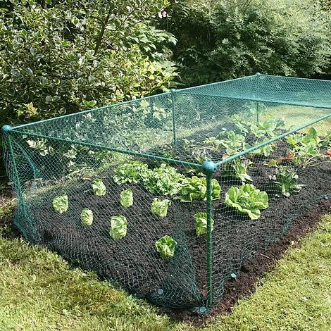 Build-a-Cage Modular Fruit & Vegetable Cage Kit - 0.625m High With Butterfly Mesh