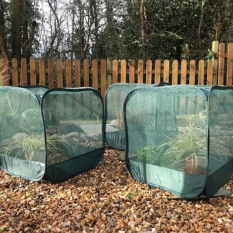 MiniPop Pop-Up Mini Plant & Seedling Cover - 50x50x50cm - Image 4