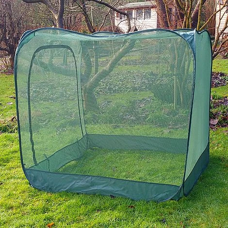 Pop Up Cabbage & Brassica Vegetable Cage Plant Cover - Image 5