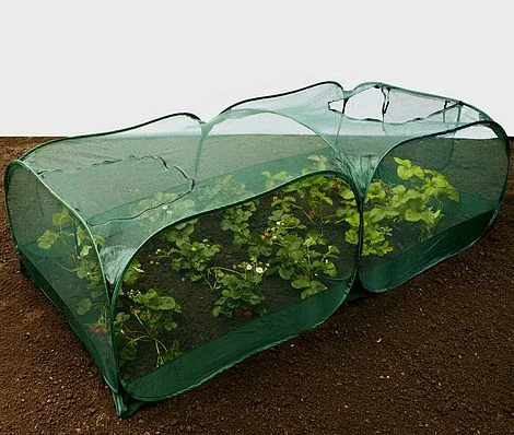 Giant Pop Up Fruit Cage & Plant Protection Cover - Image 6