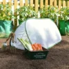 Pop Up Mini Insect Mesh Grow Tunnel & Veg Bed Cover
