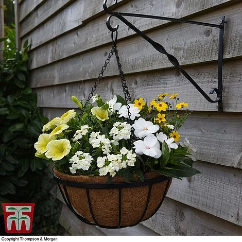 Garden Grow Hanging Basket & Liner - Image 3