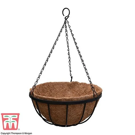 Garden Grow Hanging Basket & Liner - Image 5