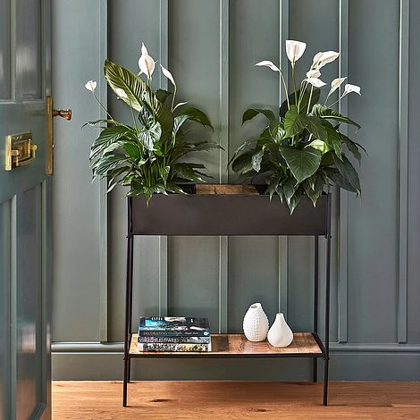 Indoor Kensington Metal Planter Stand In Black H76Cm W70Cm - Image 2