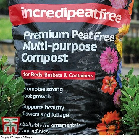 Incredipeatfree - Image 2