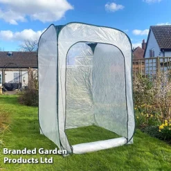 Medium Poly Pop Up (with Door)