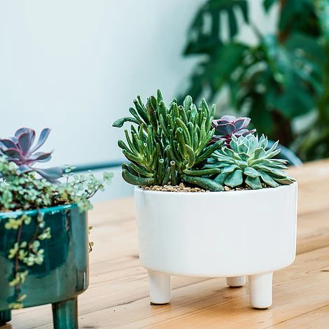 Pisa White Bowl H14Cm D19Cm