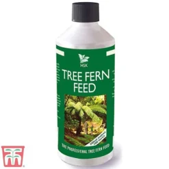Tree Fern Feed