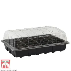 Garden Grow Plug And Seed Growing Tray
