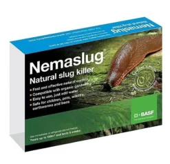 Slug Nematodes Treat Nemaslug 100 Sqm