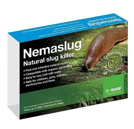 Slug Nematodes Treat Nemaslug 100 Sqm