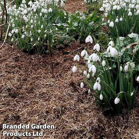 Strulch Mineralised Straw Garden Mulch - Image 2