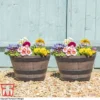Wooden Barrel Effect Planter – Small